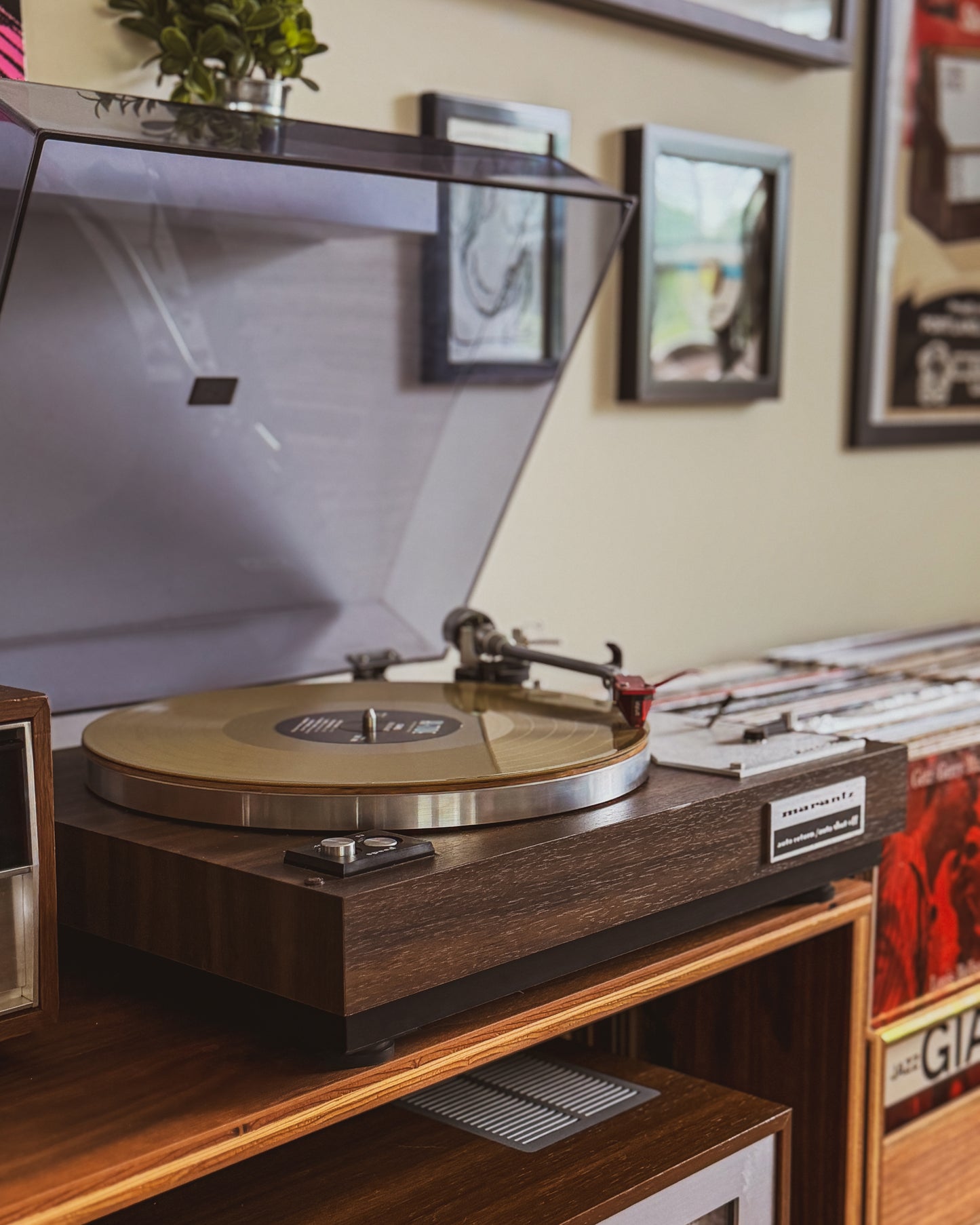 GOONS! "Never Go Back" LP [Hi-Tide Exclusive Gold w/ Obi] PRE-ORDER