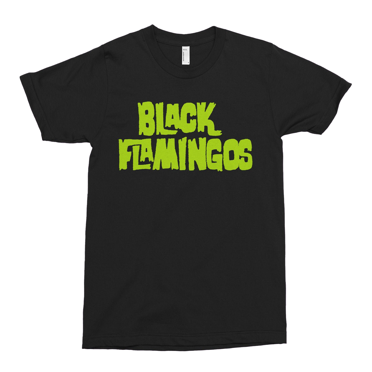 Black Flamingos “Are You Afraid of the Dark?” Logo T